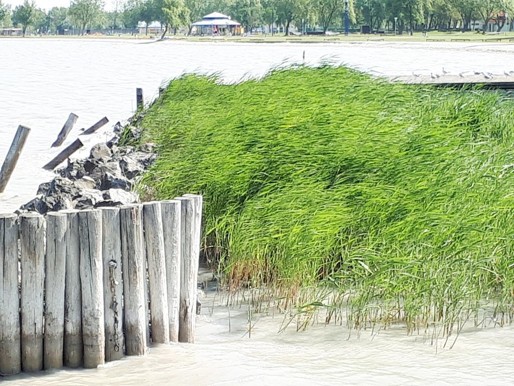 Hotel & Restaurant Seehof Podersdorf am See Luaran gambar